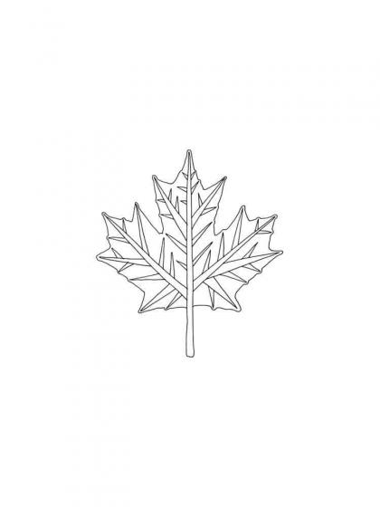 Ausmalbilder Ahorn - Malvorlagen Kostenlos zum Ausdrucken