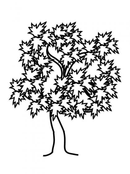 Ausmalbilder Ahorn - Malvorlagen Kostenlos zum Ausdrucken