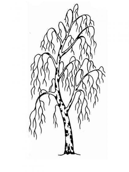 Ausmalbilder Baum ohne Blätter - Malvorlagen Kostenlos zum Ausdrucken