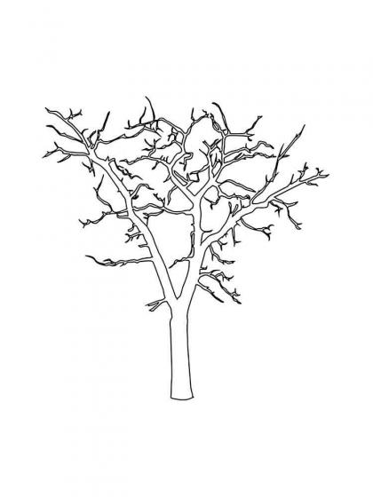 Ausmalbilder Baum ohne Blätter - Malvorlagen Kostenlos zum Ausdrucken