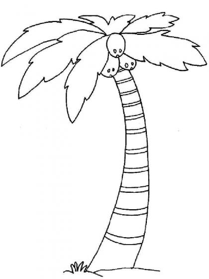 Ausmalbilder Palmen - Malvorlagen Kostenlos zum Ausdrucken