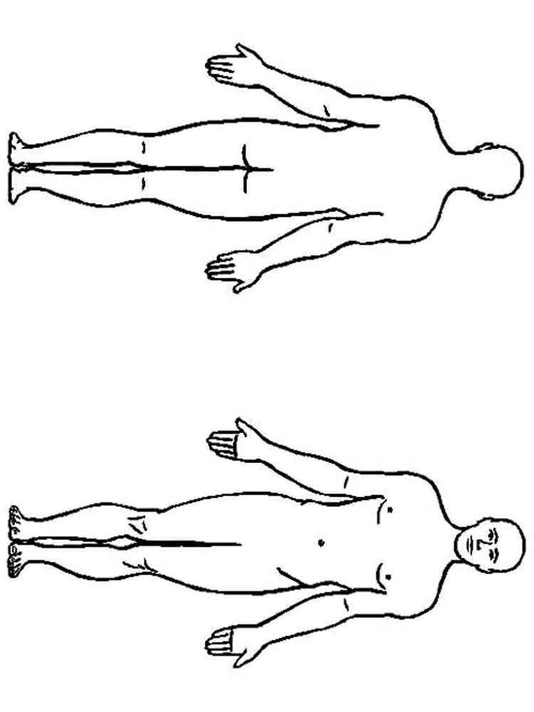 Körper Ausmalbilder - Kostenlose Malvorlagen