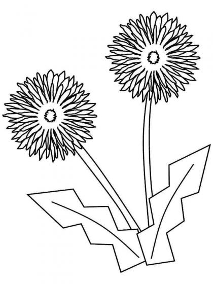 ausmalbilder löwenzahn