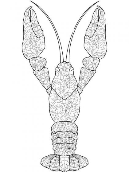 Ausmalbilder Flusskrebse für Erwachsene - Kostenlose Malvorlagen