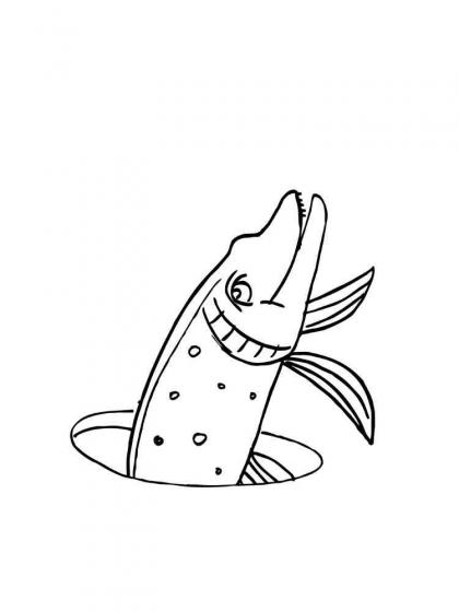 Ausmalbilder Hecht - Malvorlagen Kostenlos zum Ausdrucken