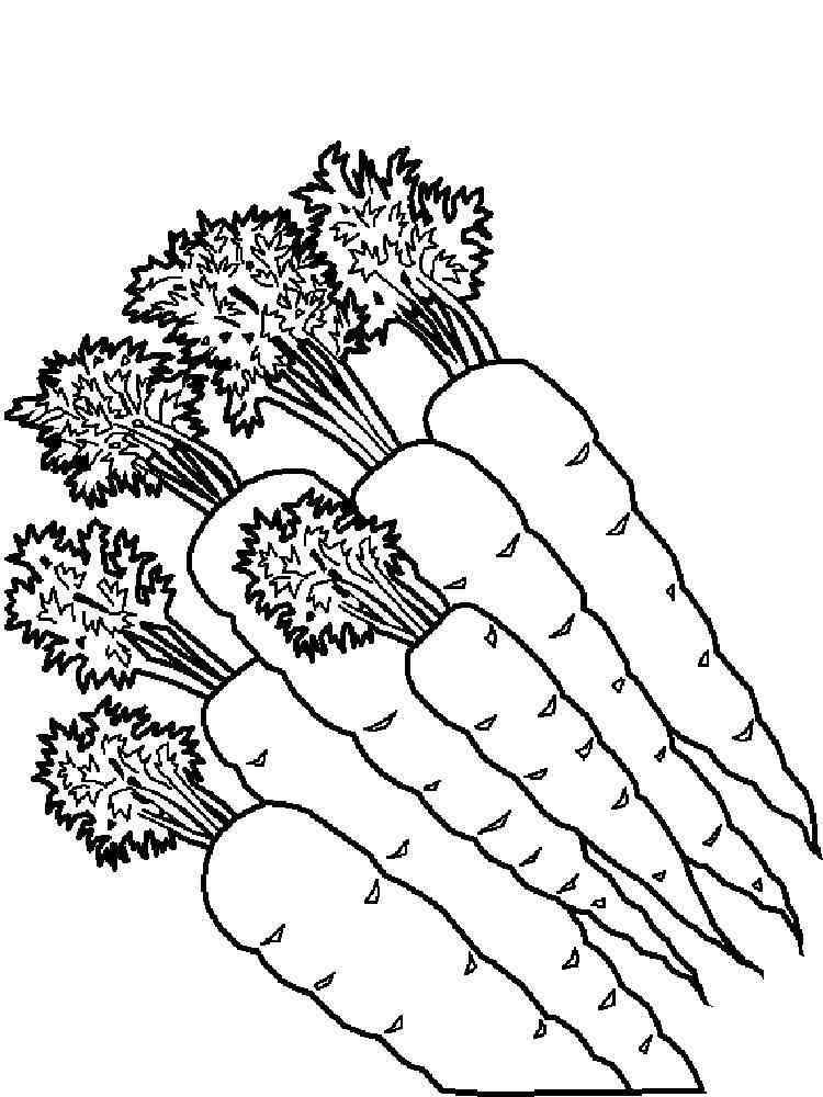 Ausmalbilder Karotte Malvorlagen Kostenlos Zum Ausdrucken 9553