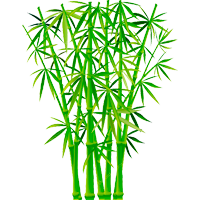 Bambus Ausmalbilder