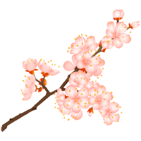 Sakura Ausmalbilder