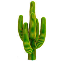 Kaktus Ausmalbilder