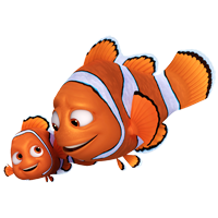 Findet Nemo Ausmalbilder