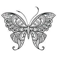 Ausmalbilder Schmetterling für Erwachsene