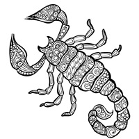 Ausmalbilder Skorpion für Erwachsene