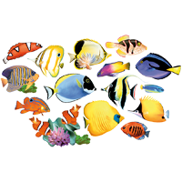 Aquarium Fische Ausmalbilder
