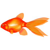 Goldfishes Ausmalbilder