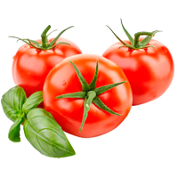 Tomate Ausmalbilder