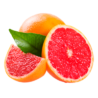 Grapefruit Ausmalbilder