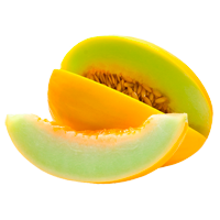 MeloneAusmalbilder