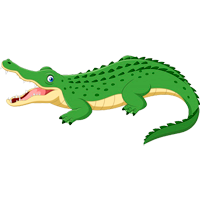 Krokodil Ausmalbilder