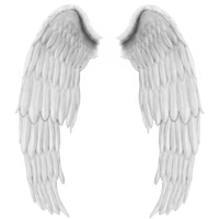 Flügel  Ausmalbilder