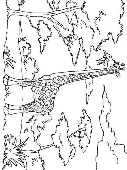 Ausmalbilder Tiere Afrikas - Kostenlose Malvorlagen