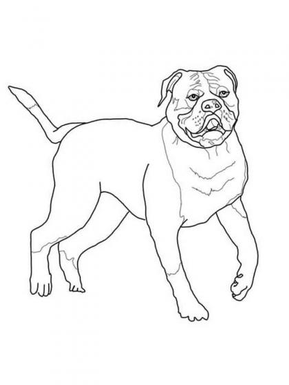 Ausmalspaß mit Bullies: Kostenlose Ausmalbilder Bulldogge für Groß und Klein!