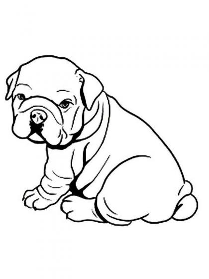 Ausmalspaß mit Bullies: Kostenlose Ausmalbilder Bulldogge für Groß und Klein!