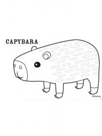 Ausmalbilder Capybara - Kostenloses Drucken