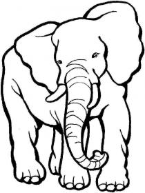 Ausmalbilder Elefant - Kostenloses Drucken