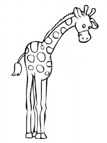 Ausmalbilder Giraffe - Kostenloses Drucken