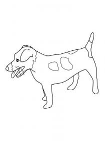 Ausmalbilder Jack Russell Terrier - Kostenloses Drucken
