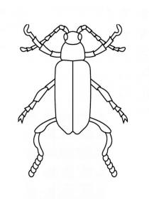 Ausmalbilder Käfer - Kostenloses Drucken