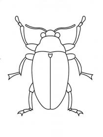 Ausmalbilder Käfer - Kostenloses Drucken
