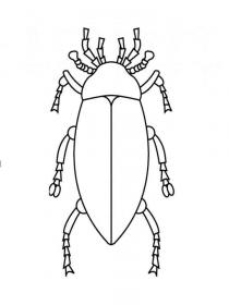 Ausmalbilder Käfer - Kostenloses Drucken