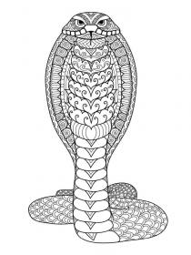 Ausmalbilder Kobra - Kostenloses Drucken