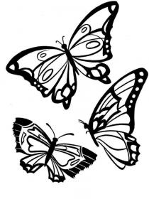 Ausmalbilder Schmetterling - Kostenloses Drucken