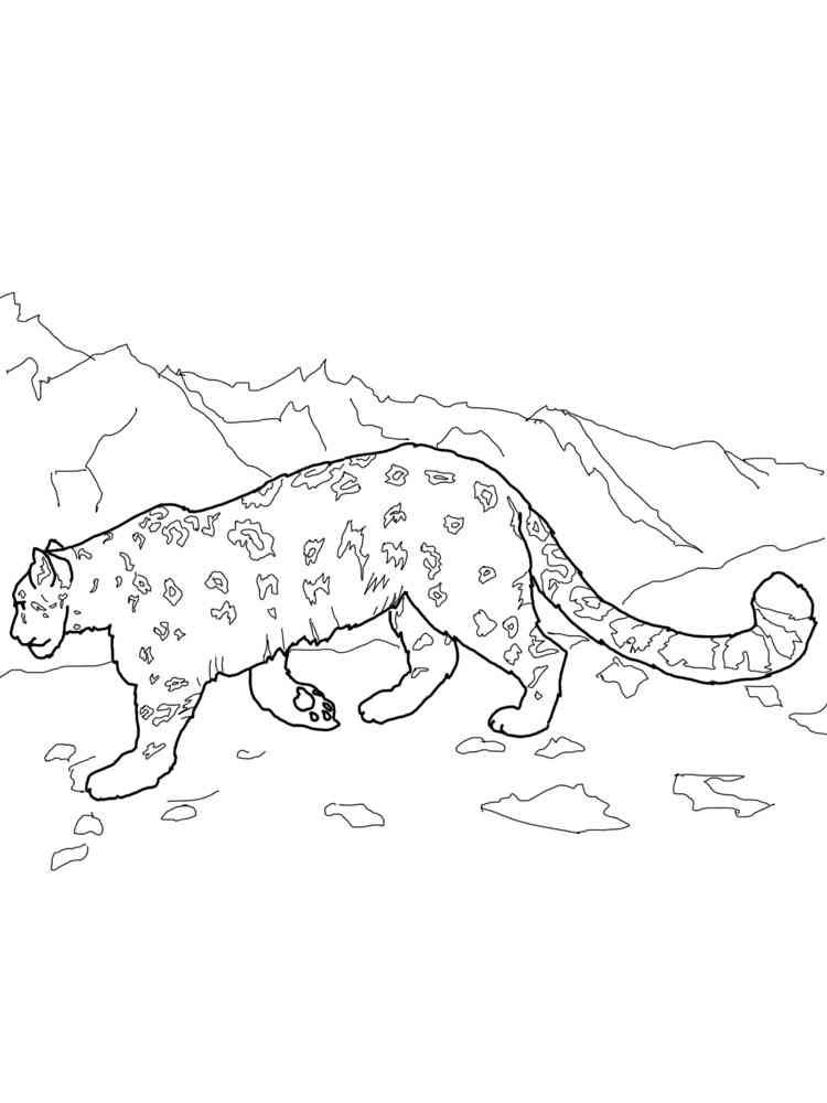 Ausmalbilder Schneeleopard: Bring the Majestic Snow Leopard to Life!