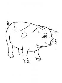 Ausmalbilder Schwein - Kostenloses Drucken