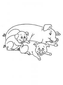 Ausmalbilder Schwein - Kostenloses Drucken