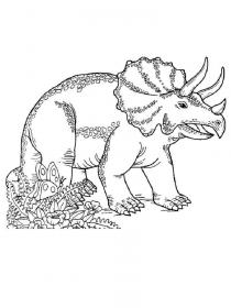 Ausmalbilder Triceratops - Kostenloses Drucken