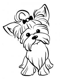 Ausmalbilder Yorkshire Terrier - Kostenloses Drucken