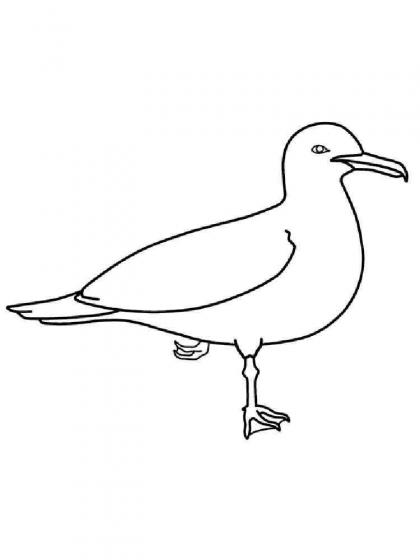 Ausmalbilder Möwe - Malvorlagen Kostenlos zum Ausdrucken