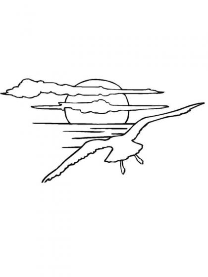 Ausmalbilder Möwe - Malvorlagen Kostenlos zum Ausdrucken